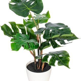 Monstera 18" Pot