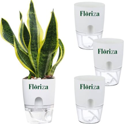 Deals of 4(Yellow Snake With 3 Self Watering Pots)